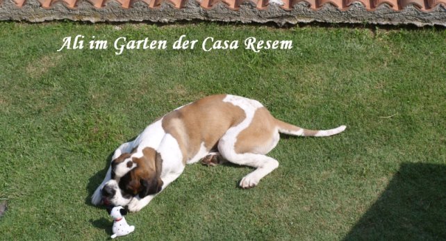 Ali in der Casa Resem in Tignale am Gardasee